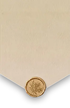 Envelope Flap